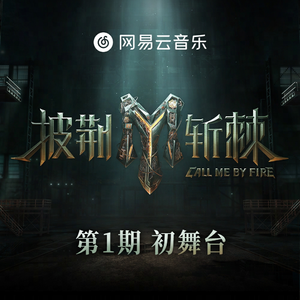 姐夫给我一只高一级毛片儿。
