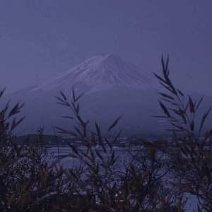 姐夫给我一只高一级毛片儿。
