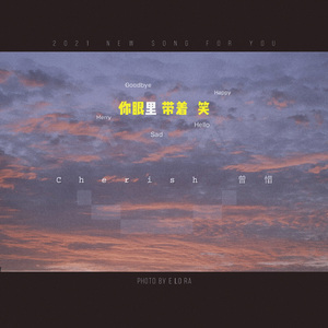 姐夫给我一只高一级毛片儿。
