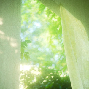 姐夫给我一只高一级毛片儿。
